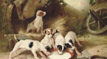 Walter Hunt | Puppies Breakfast, 1885