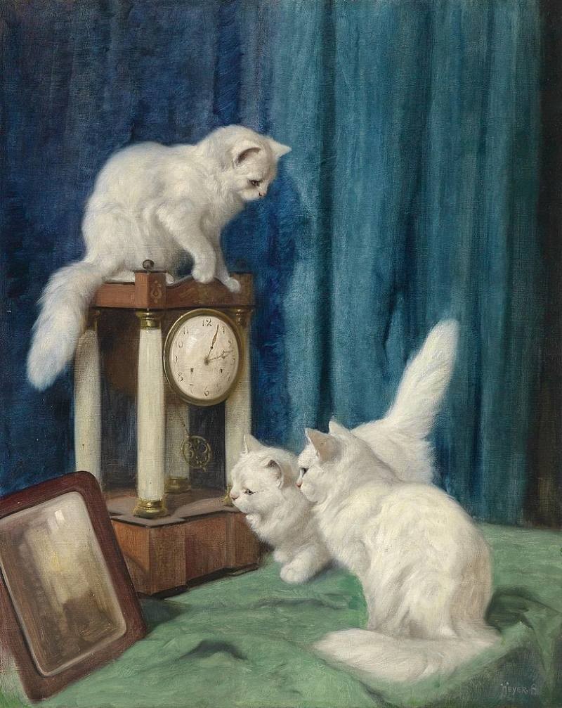 Arthur Heyer | Drei neugierige Katzen