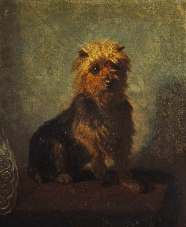 Abbott Handerson Thayer | Chadwick’s Dog, 1874 | Brooklyn Museum of Art
