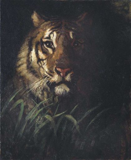 Abbott Handerson Thayer | Tiger‘s Head, 1874