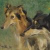 Carl Friedrich Kappstein | Porträt zweier Borzoj-Hunde, 1894
