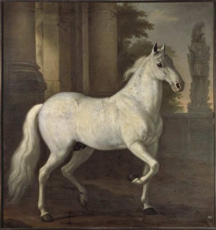 David Klöcker Ehrenstrahl | King Karl XI's Horse Brilliant, 1680 | Nationalmuseum Stockholm