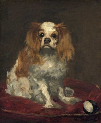 Édouard Manet | A King Charles Spaniel, c. 1866 | National Gallery of Art