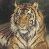 Geza Vastagh | A Reclining Tiger (Detail)