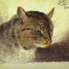 Alexander Orlowski | Head of a Cat, 1823 | Russian Museum St. Petersburg