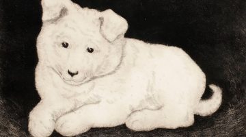 Hjalmar Hagelstam | Sneggie, White Puppy, 1932 | Bildquelle: Artvee.com
