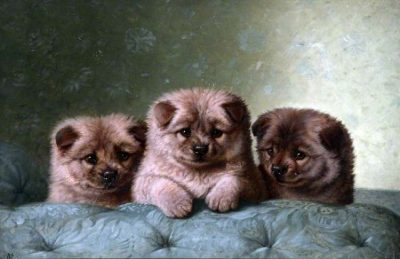 Horatio Henry Couldery | Chow Chows | Atkinson Art Gallery Collection – Southport