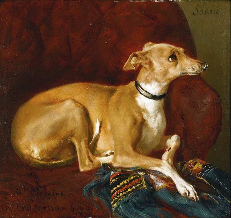 Jacques-Raymond Brascassat | A Greyhound resting on the a chair, 1836