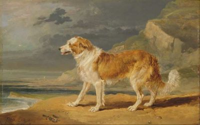 James Ward | Rough-Coated Collie, 1809 | Yale Center of British Art