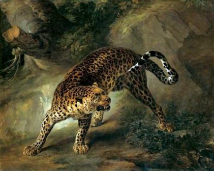 Jean-Baptiste Oudry | Leopard, 1741 | Staatliches Museum Schwerin