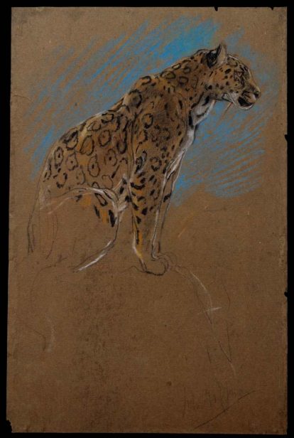 John Macallan Swan | Study of a Jaguar | Photo credit: Metropolitan Museum of Art