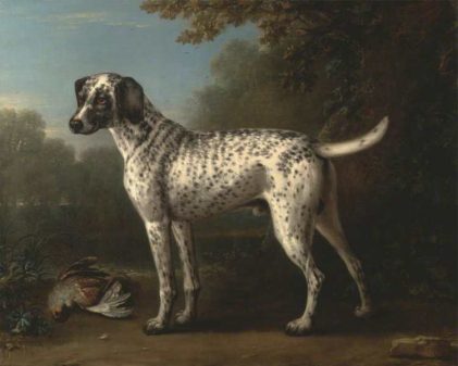 John Wootton | A Grey Spotted Hound, 1738 | Photo credit: Yale Center for British Art