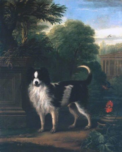 John Wootton | Muff, a Black and White Dog, ca. 1740-50 | Photo credit: Tate
