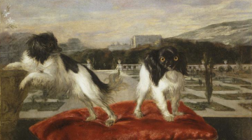 Nicasius Bernaerts |Two small dogs on the terrace of an Italianate garden | Musée du Louvre, Paris