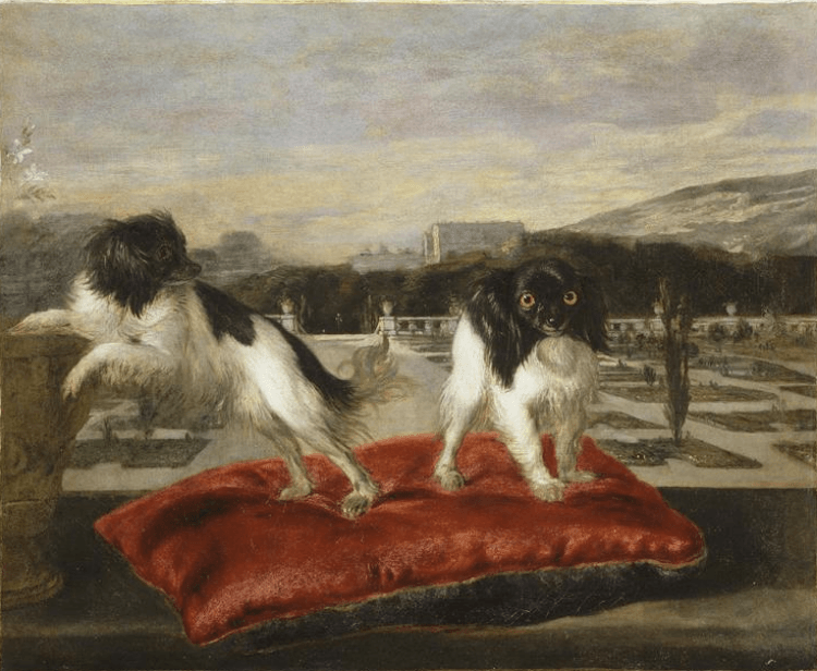 Nicasius Bernaerts |Two small dogs on the terrace of an Italianate garden | Musée du Louvre, Paris
