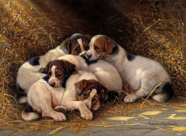 Valentine Thomas Garland | Four Puppies in a Haystack