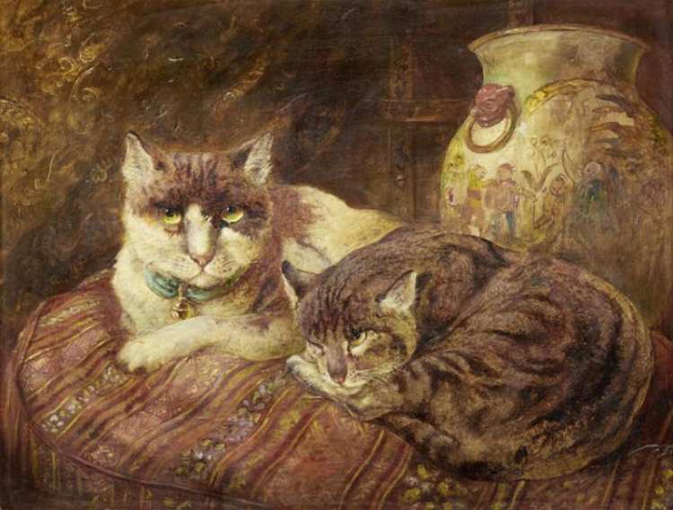 William Huggins | Schildpatt-Katzen