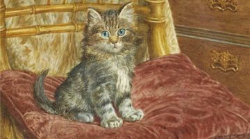 Wilson Hepple | Kätzchen auf einem Stuhl