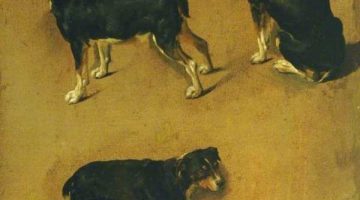 Adriaen van de Velde | Studies of a Dog | Photo credit: Cannon Hall