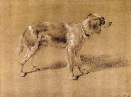 Adriaen van de Velde | A Dog (Zeichnung) | Fitzwilliam Museum - University of Cambridge