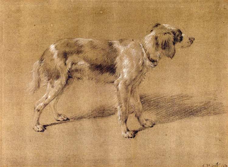 Adriaen van de Velde | A Dog (Zeichnung) | Fitzwilliam Museum - University of Cambridge
