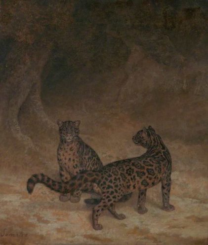 Jacques Laurent Agasse | Clouded Leopards, ca. 1825