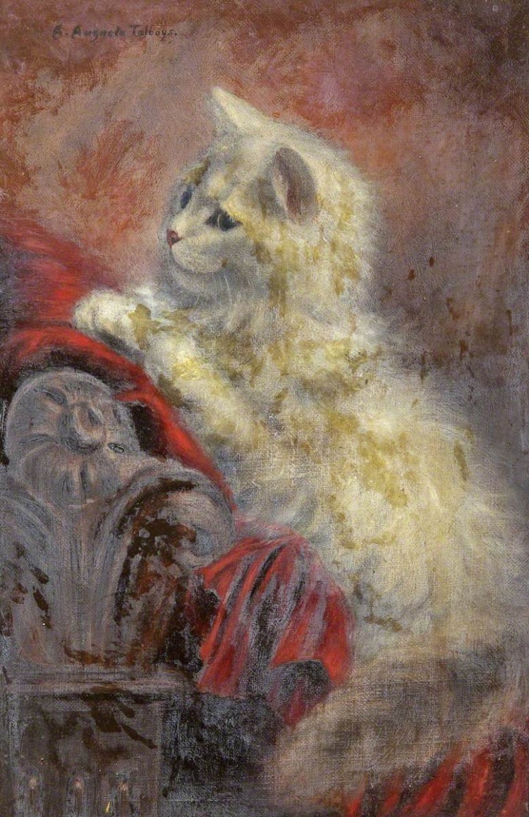 Agnes Augusta Talboys | Studie eines weißen Kätzchens auf einer roten Decke