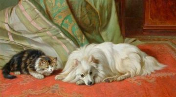 Wright Barker | Come and Play!
