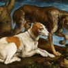 Jacobo Bassano | Two Hunting Dogs, 1548 | Museu Nacional d'Arte de Catalunya, Barcelona