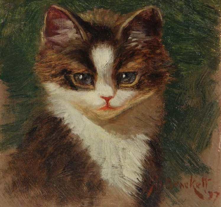 Sidney Lawrence Brackett | Porträt eines Tigerkätzchens, 1897 | Privatbesitz