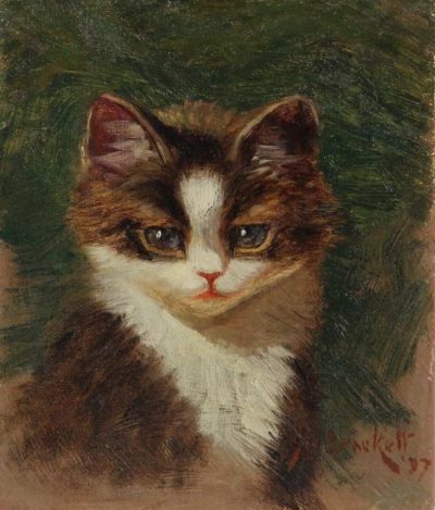 Sidney Lawrence Bracket | Porträt eines Tigerkätzchens, 1897