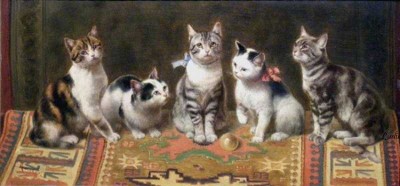 Carl Reichert | Cat Family