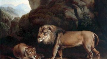 Charles Towne | Lion and Lioness, 1820 | Photo credit: Walker Art Gallery