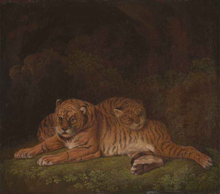Charles Towne | Tigers, ca. 1800 | Photo credit: Yale Center for British Art, Paul Mellon Collection