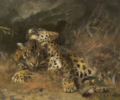 Cuthbert Edmund Swan | Leopard Cubs