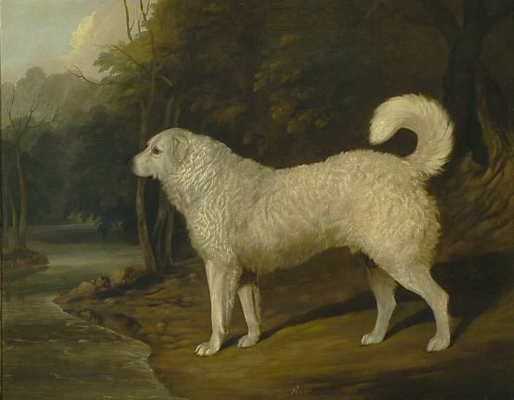 David Dalby | A Dog Called Ross, 1836 | Yale Center for British Art