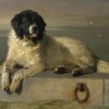 Sir Edwin Henry Landseer | A Distinguished Member of the Humane Society, 1831 | TATE Collection