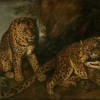 Frans Snyders | Liegende Leoparden