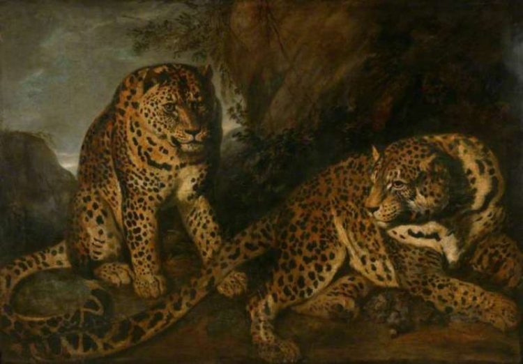 Frans Snyders | The Leopards