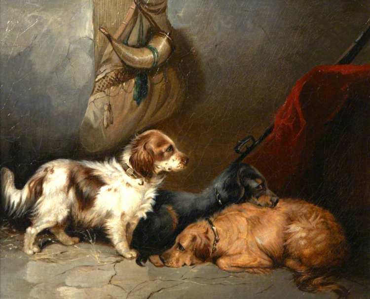 George Armfield | Spaniels in a Barn Interior | Photo credit: Torre Abbey Museum 