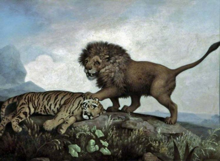 George Stubbs | A Lion and a Tiger, 1779