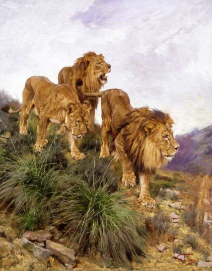 Geza Vastagh | Three Lions Walking Down a Rocky Hillside