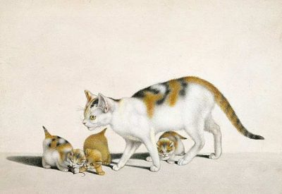 Gottfried Mind | Cat and Kittens