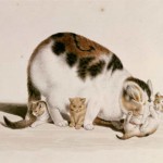 Gottfried Mind | Katzenmutter mit drei Jungen