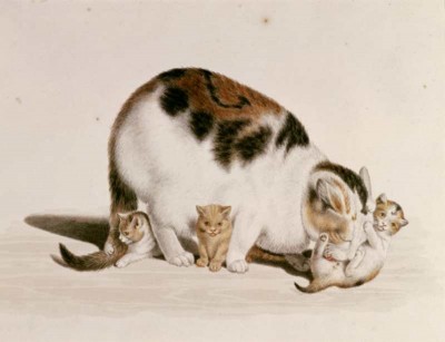 Gottfried Mind | Katzenmutter mit drei Jungen