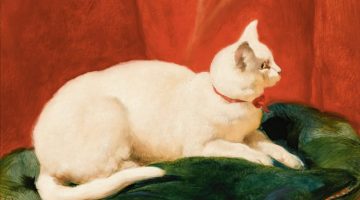 John Frederick Herring Sen. | A White Cat, 1851 | Bildquelle: Artvee.com