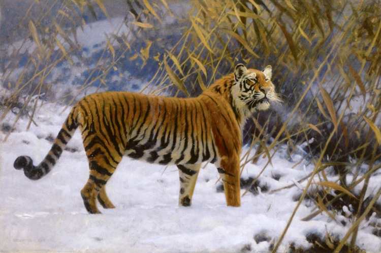 Hugo Ungewitter | A Tiger Prowling in the Snow, 1912