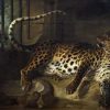 Jean-Baptiste Oudry | Leopard in a Cage confronted by two Mastiffs | Nationalmuseum, Stockholm