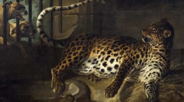 Jean-Baptiste Oudry | Leopard in a Cage confronted by two Mastiffs | Nationalmuseum, Stockholm