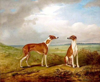 John E. Ferneley | A Pair of Greyhounds, 1824 | Walker Art Gallery, Liverpool